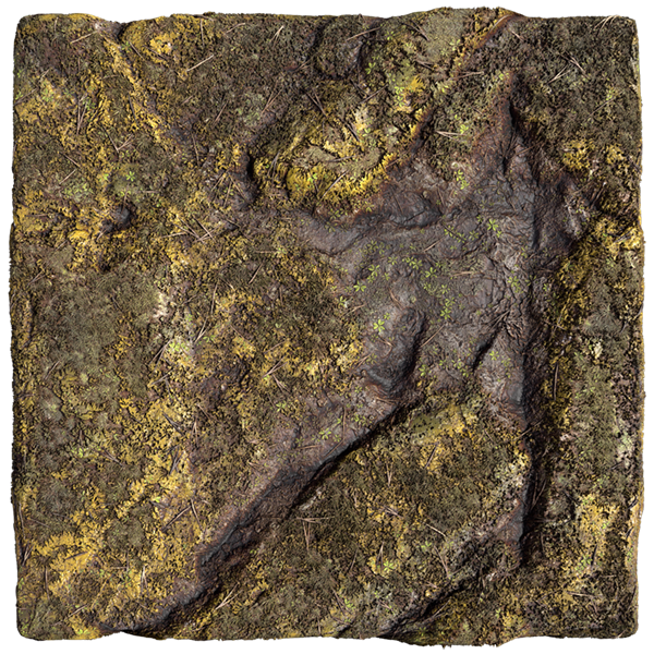 Mossy Rock Texture (Plane)