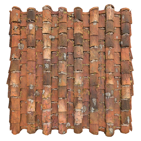 Dirty and Worn Terracotta Roof Tile Texture with Lichen and Bird Poop (Plane)