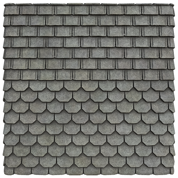 Square and Trapezium Asphalt Rooftop Texture (Plane)