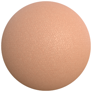 Human Face Skin Texture