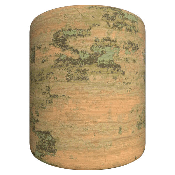 Wood Texture with Scratches and Mosses (Cylinder)