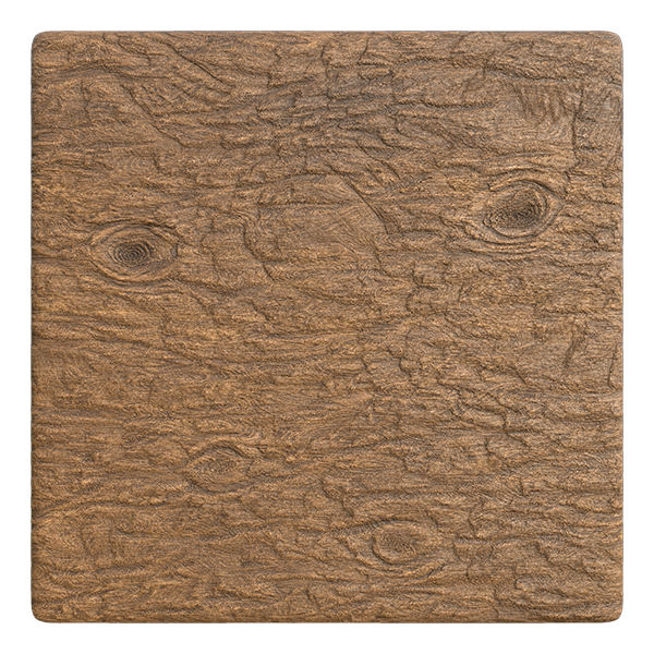 Primitive and Raw Tree Bark Texture (Plane)