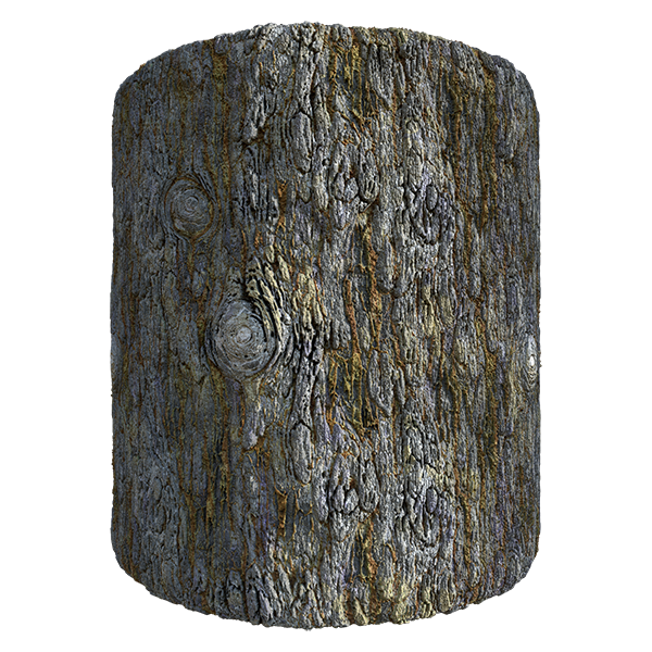 Tree Bark Texture (Cylinder)
