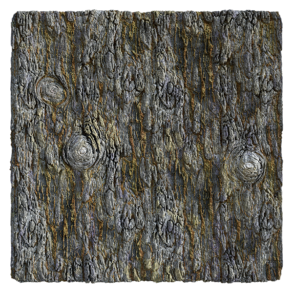 Tree Bark Texture (Plane)