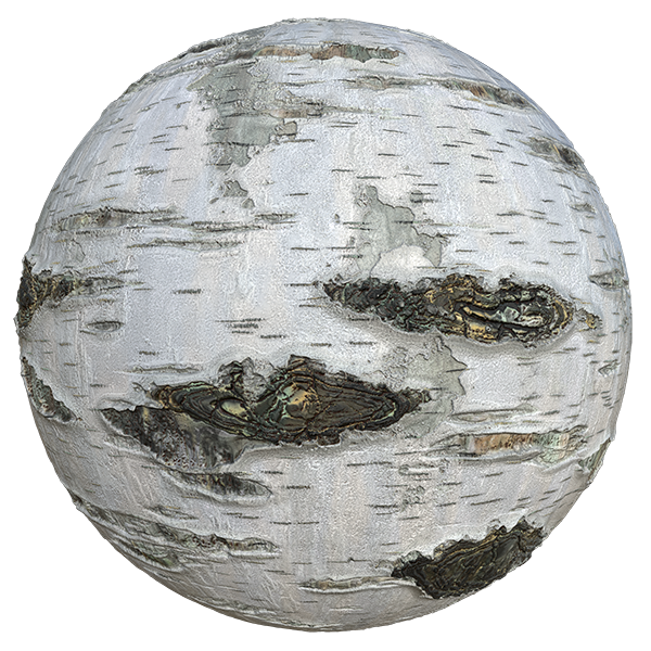 Birch Tree Bark Texture (Sphere)