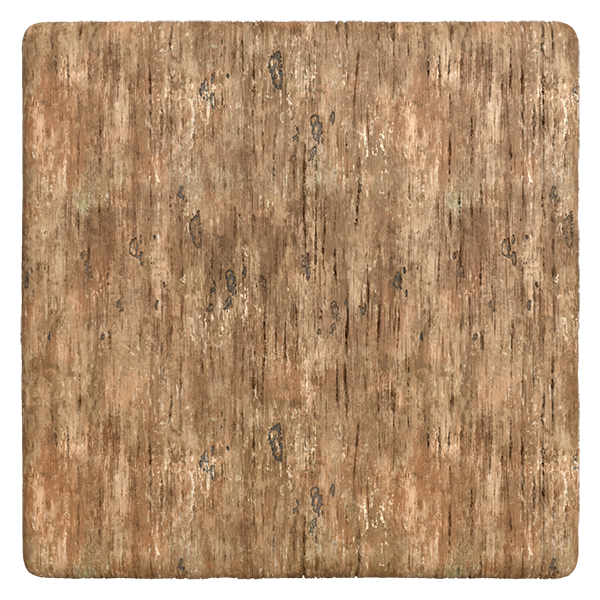 Raw Wood Plank Texture (Plane)