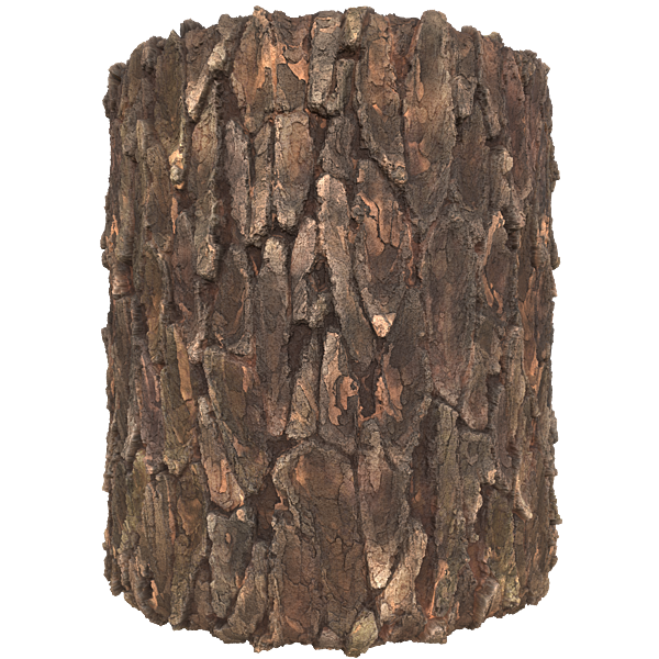 Realistic Tree Trunks or Bark Texture (Cylinder)