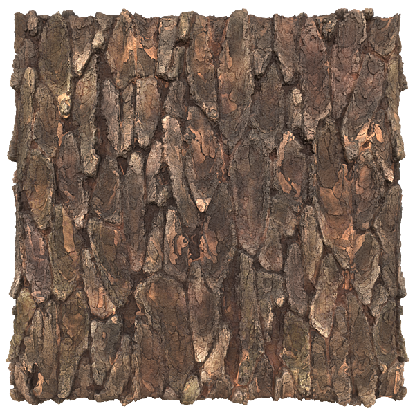 Realistic Tree Trunks or Bark Texture (Plane)