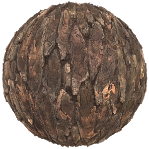 Realistic Tree Trunks or Bark Texture