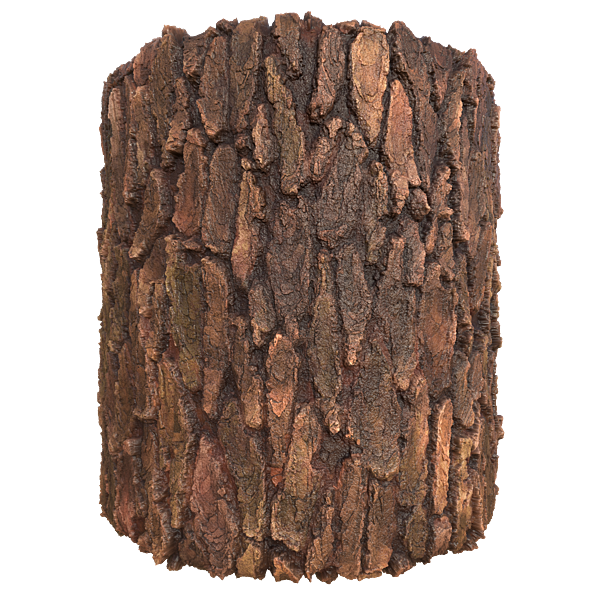 Waxy Tree Trunk Bark Texture (Cylinder)
