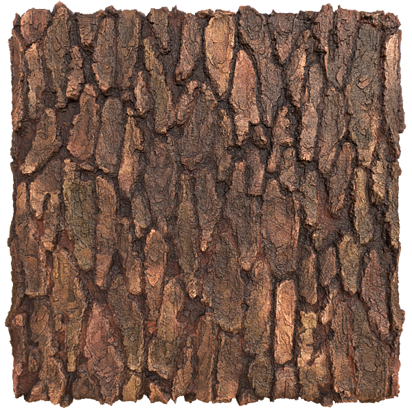 Waxy Tree Trunk Bark Texture (Plane)