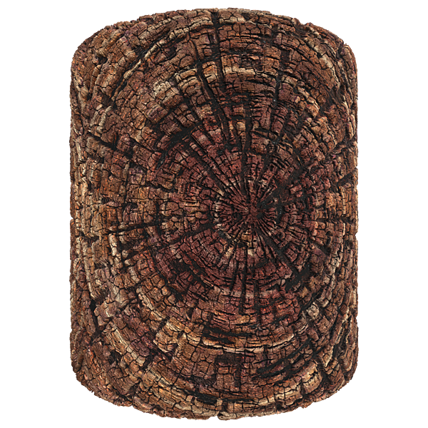 Cross Section of Wood Log Texture (Cylinder)