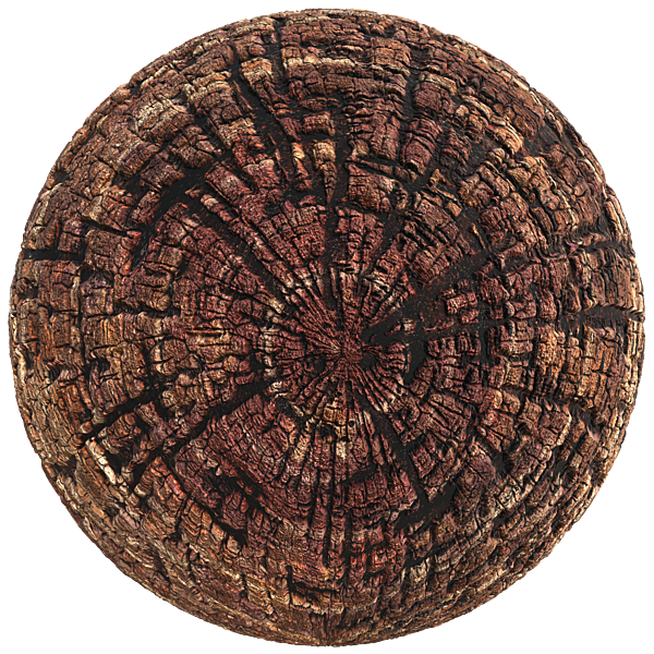 Cross Section of Wood Log Texture (Sphere)
